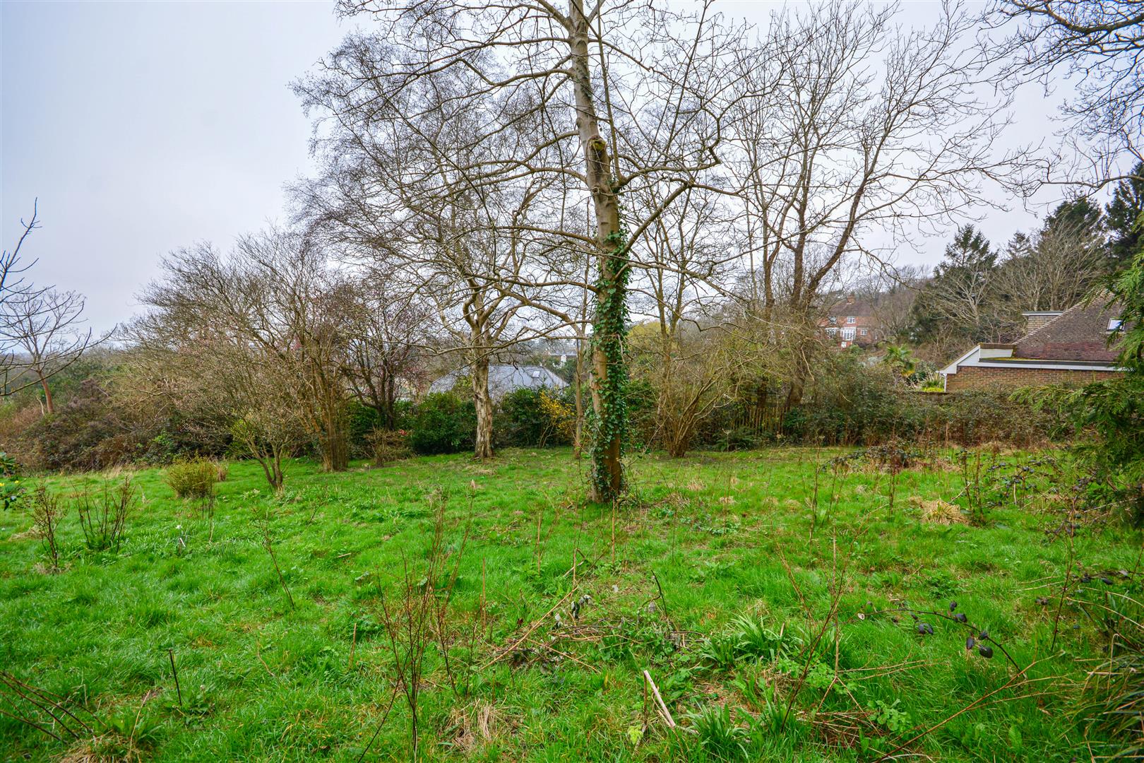 Ochiltree Road, Hastings Rush, Witt & Wilson